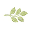 Elegante broche vintage de esmalte verde con forma de hoja y una perla blanca fina - Estilo D (Hoja de Pluma)