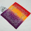 Bandana Paisley Dégradé Carré Foulard Cyclisme en Plein Air Tour de Cou Multi-usage Coton - Style 2