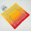 Gradient Paisley Bandana Scarf Outdoor Cycling Multifunctional Polyester Square Headwear - Style 10
