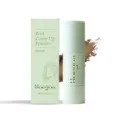 Hoegoa brown root cover up powder hairline filler pen with applicator and green packaging box - Light Brown (HG-A03-0670) / 2.0g