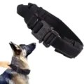 Durable black tactical nylon dog collar with heavy duty metal buckle and handle - Black