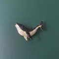 Elegant black and white rhinestone whale brooch with gold-tone finish for fashion accessories - Whale Style / Black