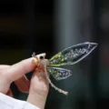 Elegant niche design dragonfly brooch with green translucent wings and crystal accents - Green Gradient Dragonfly Brooch / Green
