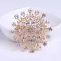 Vue détaillée d'une broche fleur en cristal avec placage en or et strass étincelants - Style Fleur Radiale Strass Blanc Or (AL645862613726)