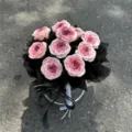 Pink gradient soap rose bouquet in clear gift box with black ribbon for Valentine's Day. - 11 Pieces / Silver