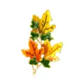 Vintage maple leaf brooch in vibrant enamel autumn colors - Autumn Maple Leaf Cluster