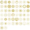 Premium collection of 50 gold foiled PET stickers featuring celestial sun and moon designs - Magic Moon and Sun (Foil Stamping)