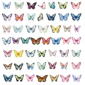 Vista macro di adesivi a farfalla colorati ad acquerello per decorazioni di diari - 50 Pezzi / Farfalla Multicolore