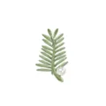 Sophisticated green leaf branch brooch featuring a delicate white pearl for women - Pinnate Leaf Style (LX-10613) / Green