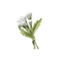 Elegant small fresh green plant brooch featuring delicate white faux pearl flower buds - Flower Cluster Style (LX-10328) / Green