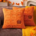 Housse de coussin en peluche orange avec broderie citrouille pour déco Halloween automne - 45x45cm (Sans Insert) / Tige Marron Orange