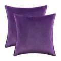Set of 2 purple velvet pillow covers with soft plush texture for home sofa decor - Deep Purple