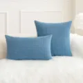 Blaue Plüsch-Kissenhülle mit Maiskorn-Struktur für Sofa-Deko im nordischen Stil - 30X50cm (Nur Bezug) / Himmelblau