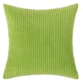 Solid light green corduroy cushion cover with decorative vertical ribbed stripe texture - 30*50cm Without Core / Apple Green