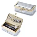 Silver metallic jewelry organizer and lipstick case with gold clasp - Silver