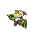 Elegant vintage enamel bird and strawberry brooch pin with colorful rhinestones for suits - Magpie Strawberry Style (DW0651)