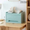 Large mint green plastic desktop storage box organizer with 42x28.5x26cm dimensions for office - 2-Tier / Tabletop Style / Blue