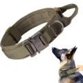 Primer plano de collar táctico para perro en nylon resistente con hebilla metálica y anilla. - Verde Militar