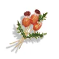 Elegant vintage enamel floral brooch pin with orange thistle buds and green leaves - Orange Red Enamel Thistle (BH08)