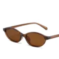 Vintage oval small frame sunglasses for women in translucent brown finish stylish - Dark Tea Frame Tea Lens