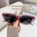 Stylish cat eye sunglasses featuring transparent purple frames and dark gray lenses - Transparent Purple Frame Gray Lens