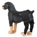Dog leg brace hind leg support hock wrap for canine pet rehabilitation and joint protection. - XS / Black