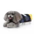 Protective mobility aid drag bag with scooter wheels for disabled pets on white background - S / Blue