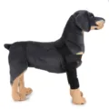 Professional adjustable black dog leg brace for injury recovery and joint protection support - S / HJ07 front double leg Black (generation of classic)