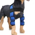 Professional blue dog leg brace for joint protection and injury recovery support - S / HJ09 front double leg protection Blue (Generation Classic)