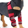Red dog front leg brace with reflective strips for surgical injury recovery support - HJ17 front double leg protector red (second generation reflective model)