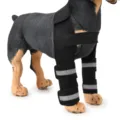 Professional black dog front leg brace with reflective stripes for surgical recovery - HJ31 front double leg protector Black (third generation support bar)