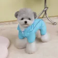 Close-up view of a cute poodle wearing a light blue reflective summer pet sun protection suit - Reflective Four-Legged Blue