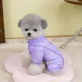 Light purple summer pet dog sun protection clothing with reflective strip detail - S / Reflective Four-Legged Purple