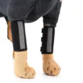 Close-up of black pet leg brace with reflective strip for dog joint injury support - Black Reflective