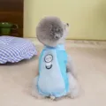 Back view of a poodle wearing a light blue breathable sun protection pet shirt with D-ring - S / Blue