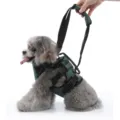 Vista dettagliata della imbracatura di sollevamento per cani con comoda maniglia e cinghie. - Taglia S / Verde Scuro