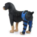 Dog leg brace rehab support sleeve for hind legs, adjustable pet knee wrap for recovery. - XS / Blue With Support and Reflective Strips