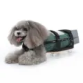 Pet mobility scooter with a green drag bag for disabled dogs auxiliary walking aid - S / Green