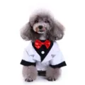 Elegant dog tuxedo suit in white and black featuring a vibrant red satin bowtie detail - S / SDZ72 White Bowtie Tuxedo