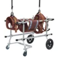 Adjustable 4-wheel dog wheelchair for medium and large disabled pets mobility cart. - M / CJC11 Style / Gray