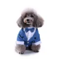 Blue gentleman dog tuxedo suit featuring a matching bowtie and white shirt detail - S / SDZ74 Blue Bowtie Tuxedo