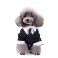 Dog tuxedo suit in black stripes with white shirt collar and black satin tie - S / SDZ76 Tie Pinstripe Suit