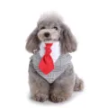 Nahaufnahme des Hunde Anzug Halstuchs mit eleganter roter Krawatte und weißem Kragen für Haustiere. - SJJ02 Kleines Vogelmuster Stil / S