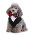 Honden tuxedo slabbetje detail met rood zwarte ruit strik en witte kraag voor huisdieren. - SJJ04 Zwart Rood Geruit Stijl