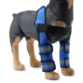 Blue dog front leg protectors with reflective safety straps for injury recovery - HJ33 front double leg protector Blue (third generation support bar)