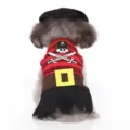 Funny pirate dog costume with hat for Halloween Christmas pet dress up apparel teddy. - S / Pirate Style