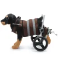 Professional adjustable dog wheelchair for disabled pets featuring a brown reflective mesh harness - 3rd Generation Enhanced Style (CJC05)