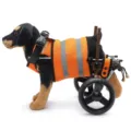 Adjustable dog wheelchair with orange reflective vest for disabled pets walking aid - 3rd Generation Enhanced Style (CJC06)