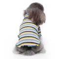 Colorful striped turtleneck pet sweater for dogs, cozy spring autumn two-legged apparel. - Green Colorful Stripes CZ115