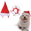Festive red Santa hat and white plush collar set with gold bells for small pets. - S / Christmas Hat Collar Set (SDZ08)